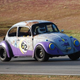Image for article titled 24 Hours Of LeMons 2009 Season Index Of Effluency Winners